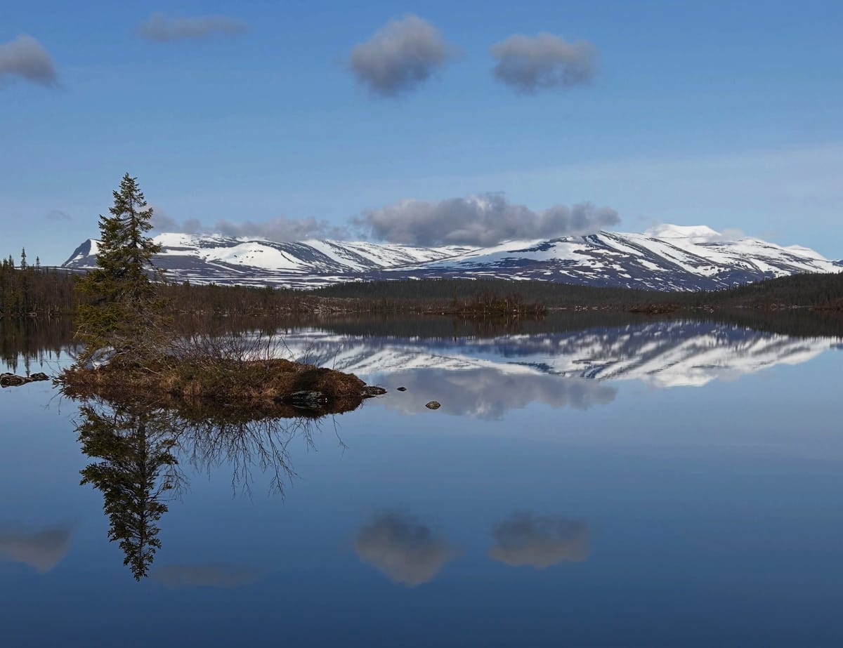 Mid-May = Off-season?